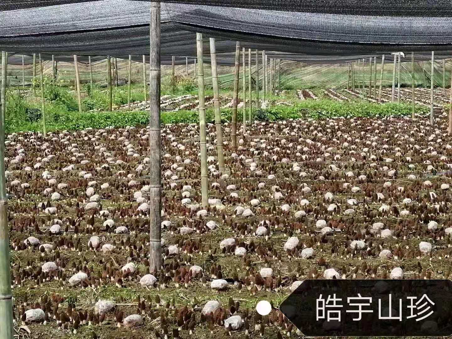 &#29233;&#28216;&#25103;&#23448;&#26041;&#32593;&#31449;&#45;&#29233;&#28216;&#25103;&#20840;&#31449;&#65;&#80;&#80;&#40;&#97;&#121;&#120;&#41;&#20013;&#22269;&#23448;&#26041;&#32593;&#31449;