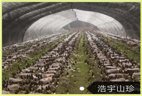&#29233;&#28216;&#25103;&#23448;&#26041;&#32593;&#31449;&#45;&#29233;&#28216;&#25103;&#20840;&#31449;&#65;&#80;&#80;&#40;&#97;&#121;&#120;&#41;&#20013;&#22269;&#23448;&#26041;&#32593;&#31449;