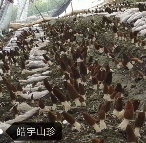 &#29233;&#28216;&#25103;&#23448;&#26041;&#32593;&#31449;&#45;&#29233;&#28216;&#25103;&#20840;&#31449;&#65;&#80;&#80;&#40;&#97;&#121;&#120;&#41;&#20013;&#22269;&#23448;&#26041;&#32593;&#31449;