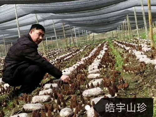 &#29233;&#28216;&#25103;&#23448;&#26041;&#32593;&#31449;&#45;&#29233;&#28216;&#25103;&#20840;&#31449;&#65;&#80;&#80;&#40;&#97;&#121;&#120;&#41;&#20013;&#22269;&#23448;&#26041;&#32593;&#31449;
