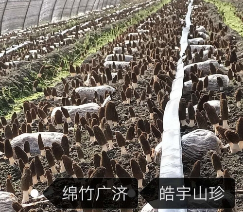 &#29233;&#28216;&#25103;&#23448;&#26041;&#32593;&#31449;&#45;&#29233;&#28216;&#25103;&#20840;&#31449;&#65;&#80;&#80;&#40;&#97;&#121;&#120;&#41;&#20013;&#22269;&#23448;&#26041;&#32593;&#31449;
