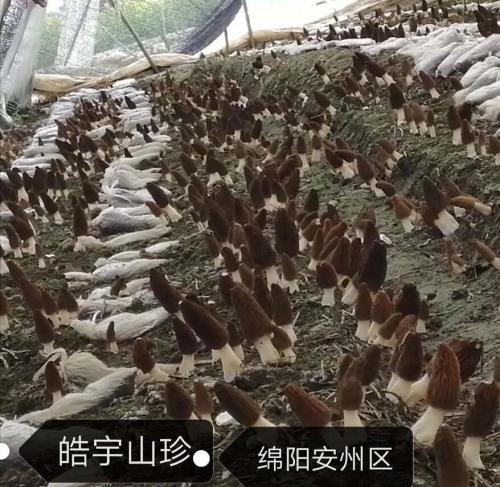 &#29233;&#28216;&#25103;&#23448;&#26041;&#32593;&#31449;&#45;&#29233;&#28216;&#25103;&#20840;&#31449;&#65;&#80;&#80;&#40;&#97;&#121;&#120;&#41;&#20013;&#22269;&#23448;&#26041;&#32593;&#31449;