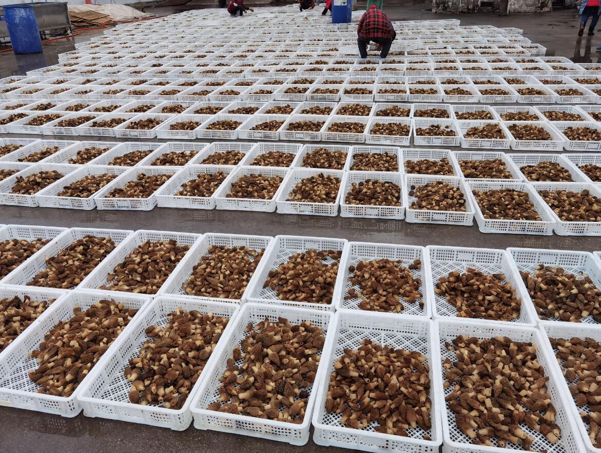 &#29233;&#28216;&#25103;&#23448;&#26041;&#32593;&#31449;&#45;&#29233;&#28216;&#25103;&#20840;&#31449;&#65;&#80;&#80;&#40;&#97;&#121;&#120;&#41;&#20013;&#22269;&#23448;&#26041;&#32593;&#31449;
