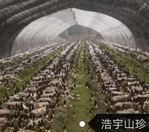 &#29233;&#28216;&#25103;&#23448;&#26041;&#32593;&#31449;&#45;&#29233;&#28216;&#25103;&#20840;&#31449;&#65;&#80;&#80;&#40;&#97;&#121;&#120;&#41;&#20013;&#22269;&#23448;&#26041;&#32593;&#31449;