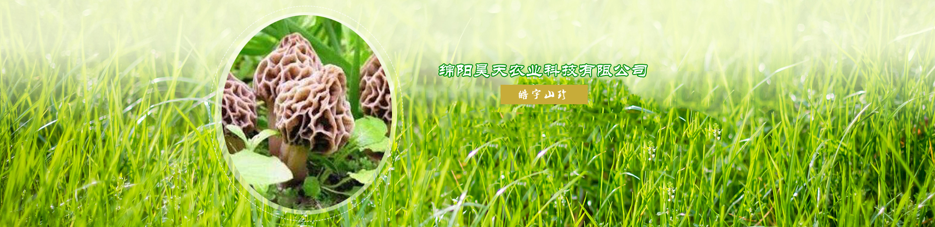 &#29233;&#28216;&#25103;&#23448;&#26041;&#32593;&#31449;&#45;&#29233;&#28216;&#25103;&#20840;&#31449;&#65;&#80;&#80;&#40;&#97;&#121;&#120;&#41;&#20013;&#22269;&#23448;&#26041;&#32593;&#31449;