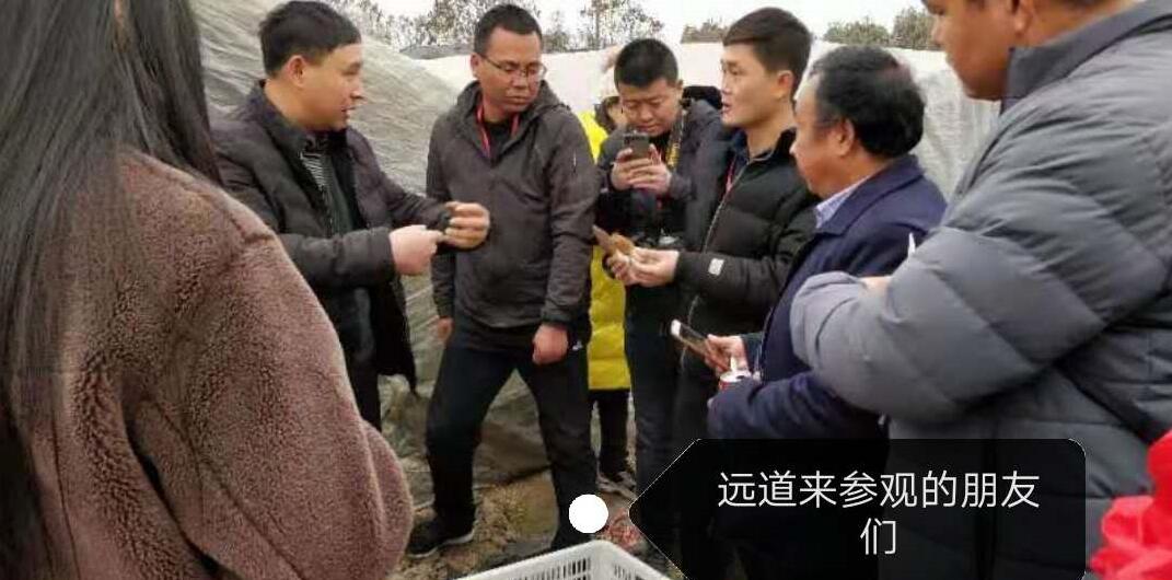 &#29233;&#28216;&#25103;&#23448;&#26041;&#32593;&#31449;&#45;&#29233;&#28216;&#25103;&#20840;&#31449;&#65;&#80;&#80;&#40;&#97;&#121;&#120;&#41;&#20013;&#22269;&#23448;&#26041;&#32593;&#31449;