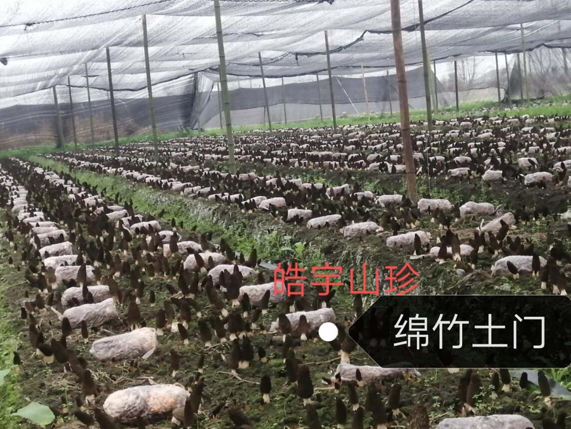 &#29233;&#28216;&#25103;&#23448;&#26041;&#32593;&#31449;&#45;&#29233;&#28216;&#25103;&#20840;&#31449;&#65;&#80;&#80;&#40;&#97;&#121;&#120;&#41;&#20013;&#22269;&#23448;&#26041;&#32593;&#31449;