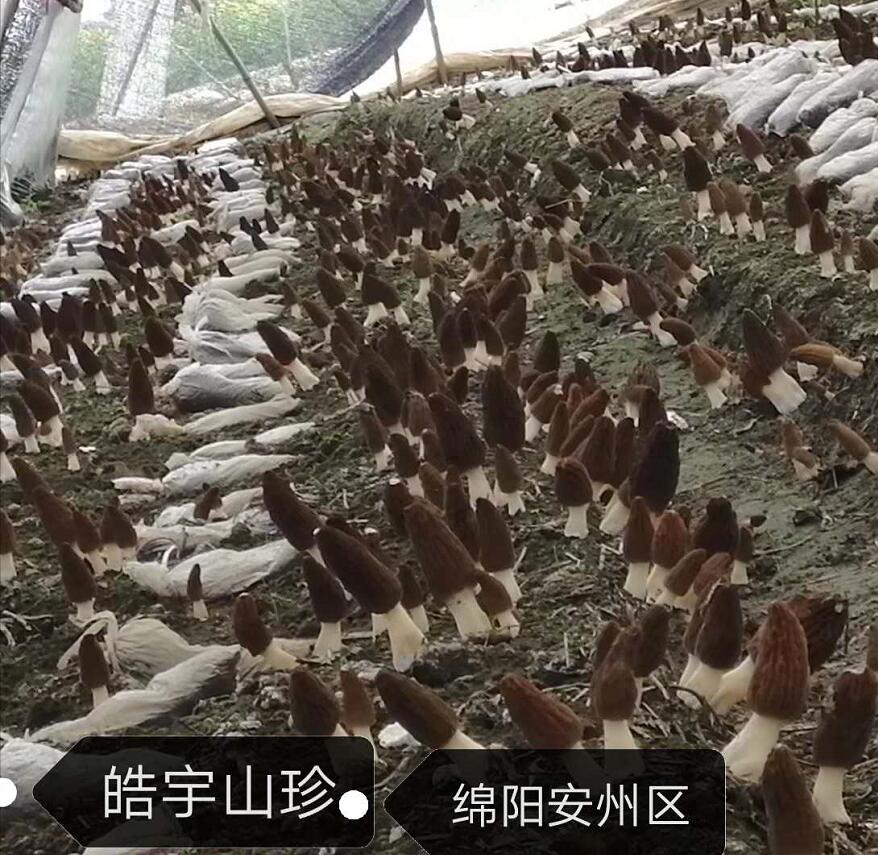 &#29233;&#28216;&#25103;&#23448;&#26041;&#32593;&#31449;&#45;&#29233;&#28216;&#25103;&#20840;&#31449;&#65;&#80;&#80;&#40;&#97;&#121;&#120;&#41;&#20013;&#22269;&#23448;&#26041;&#32593;&#31449;