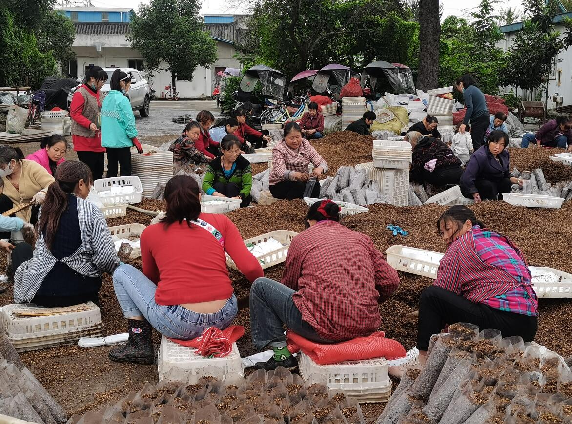 &#29233;&#28216;&#25103;&#23448;&#26041;&#32593;&#31449;&#45;&#29233;&#28216;&#25103;&#20840;&#31449;&#65;&#80;&#80;&#40;&#97;&#121;&#120;&#41;&#20013;&#22269;&#23448;&#26041;&#32593;&#31449;