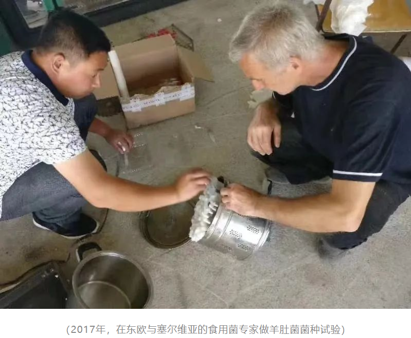 &#29233;&#28216;&#25103;&#23448;&#26041;&#32593;&#31449;&#45;&#29233;&#28216;&#25103;&#20840;&#31449;&#65;&#80;&#80;&#40;&#97;&#121;&#120;&#41;&#20013;&#22269;&#23448;&#26041;&#32593;&#31449;