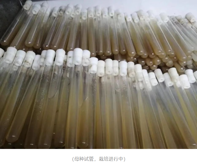&#29233;&#28216;&#25103;&#23448;&#26041;&#32593;&#31449;&#45;&#29233;&#28216;&#25103;&#20840;&#31449;&#65;&#80;&#80;&#40;&#97;&#121;&#120;&#41;&#20013;&#22269;&#23448;&#26041;&#32593;&#31449;